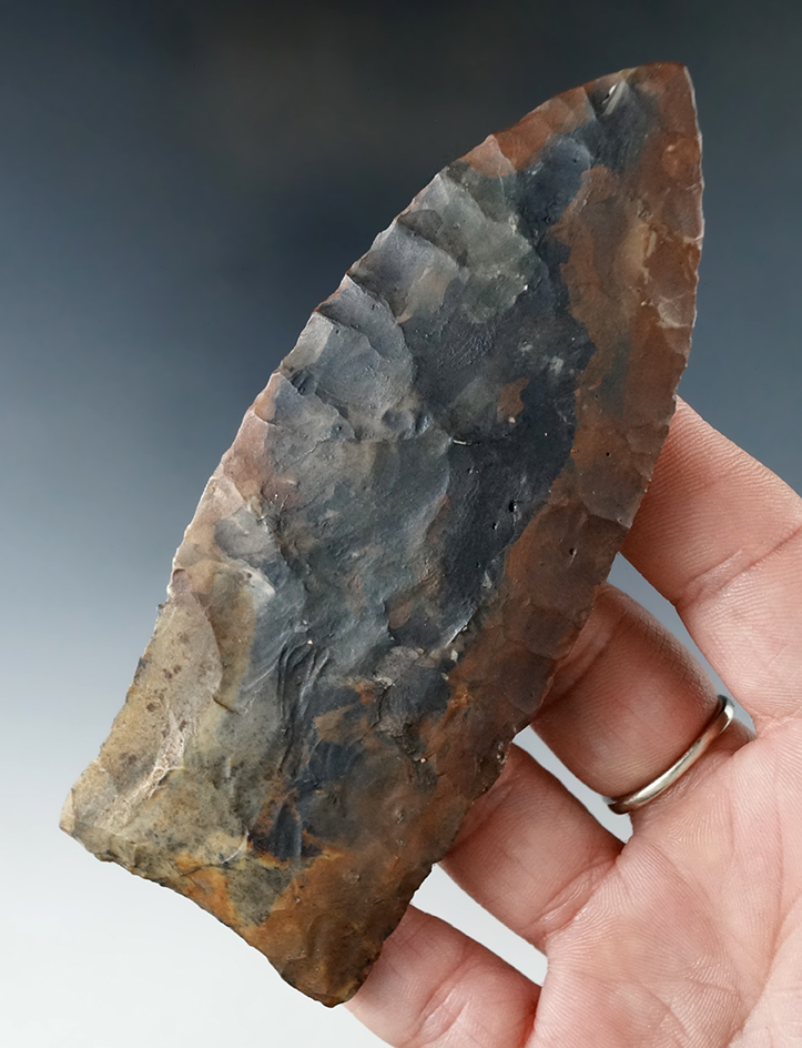 Very heavily restored (more than two thirds) 4 1/2" Swanee Spear found in Alachua Co., Florida.