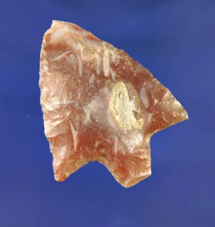 1 and 15/16" Hillsboro made from beautiful pink heat-treated Agatized coral found in Florida.