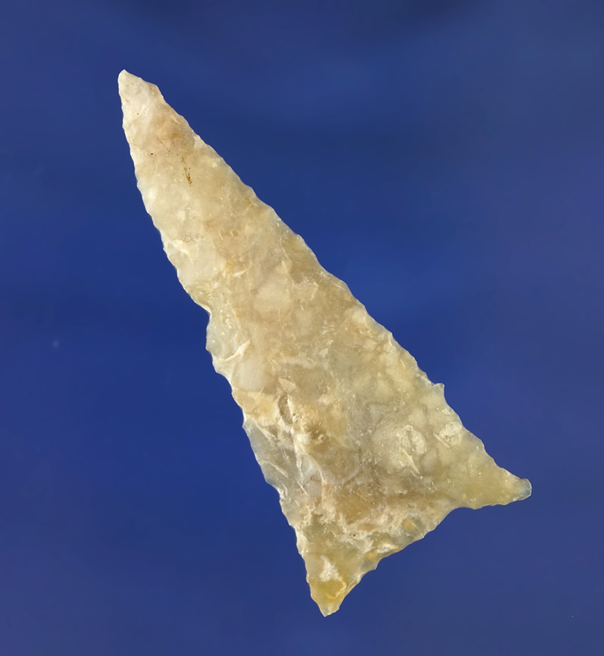 2 1/8" triangular arrowhead made from Agatized coral found in Florida.