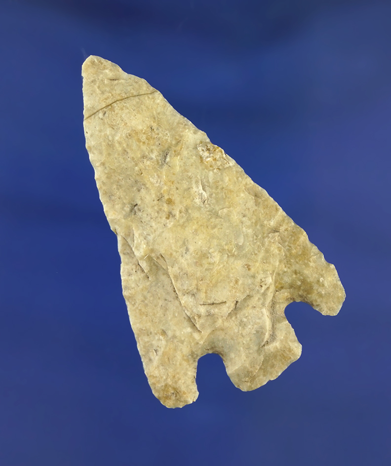 2 3/16" Citrus point found in Florida.