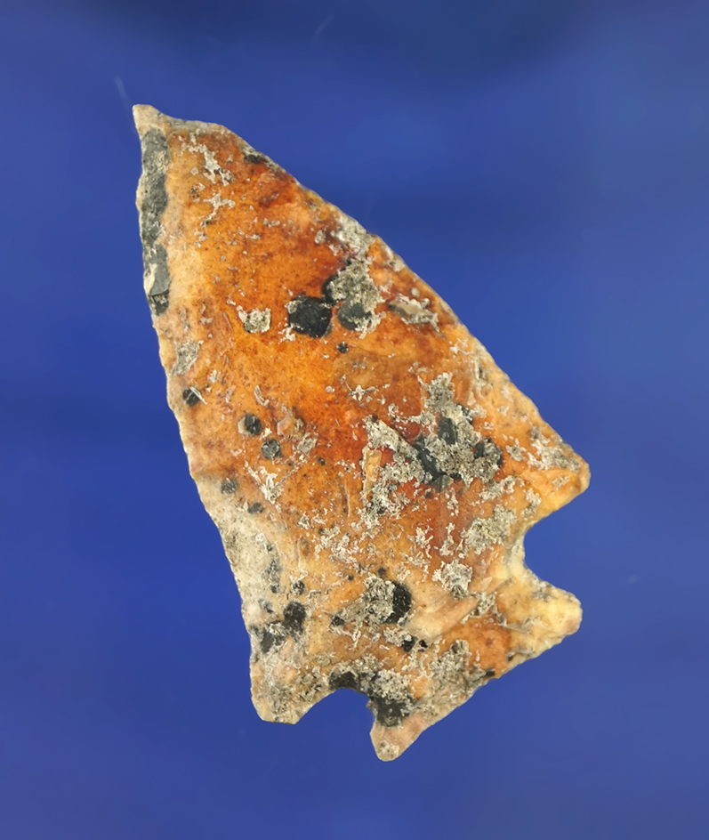 2 1/16" Lafayette point found in Florida that is heavily patinated.