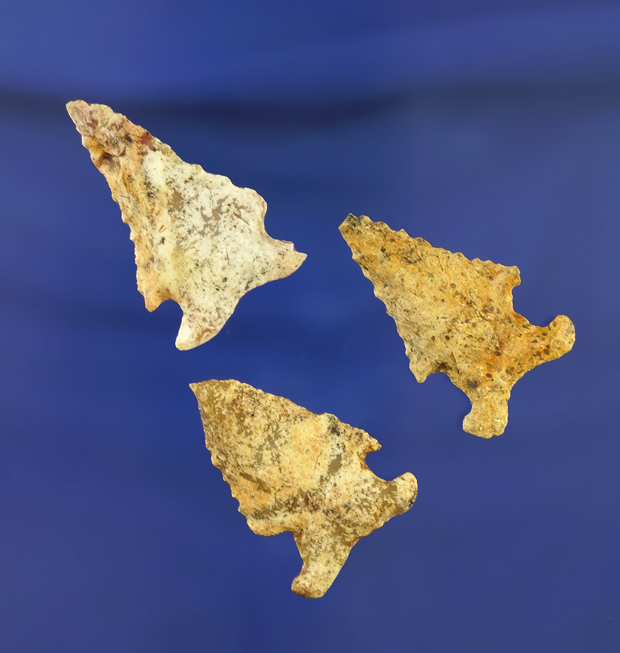 Set of three Bolen Bevels found in northern Florida, largest is 1 7/16".