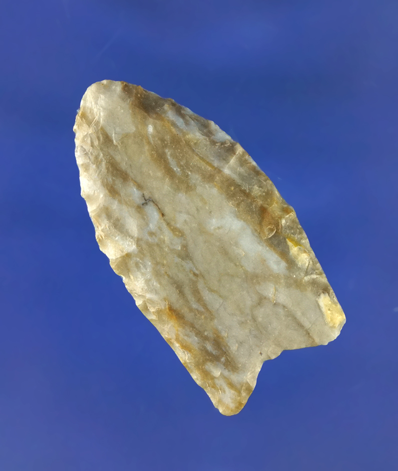 1 5/8" Paleo fluted Clovis found in Fentress Co., Tennessee from a cave Dig. Very nice paleo artifac