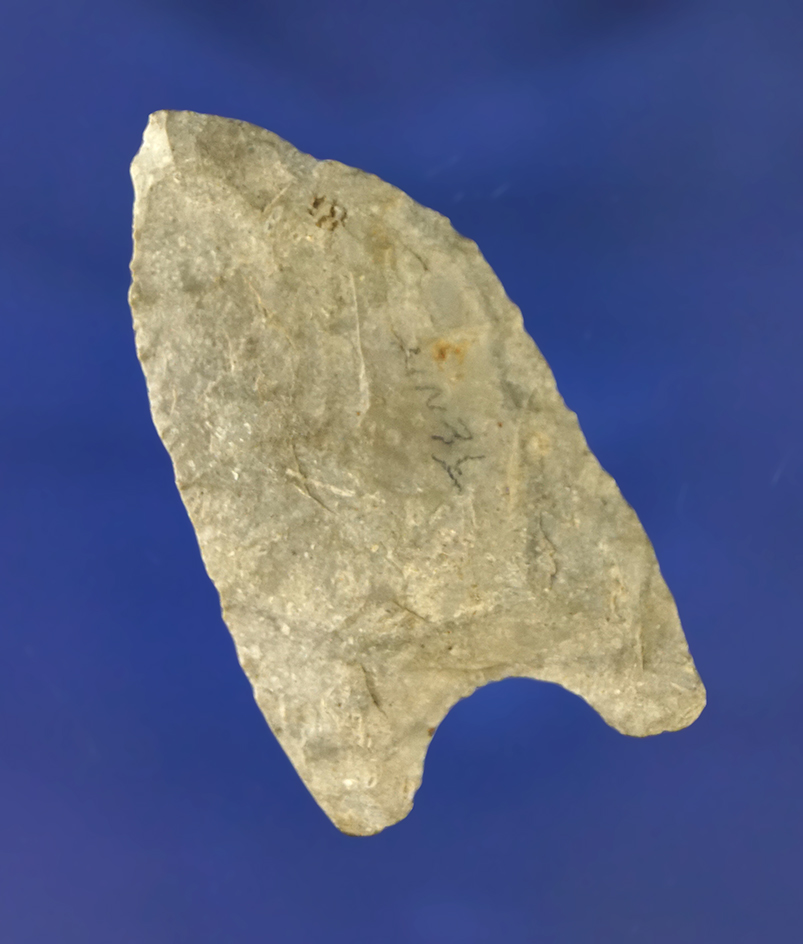 2 1/16" paleo Quad found in Tennessee.