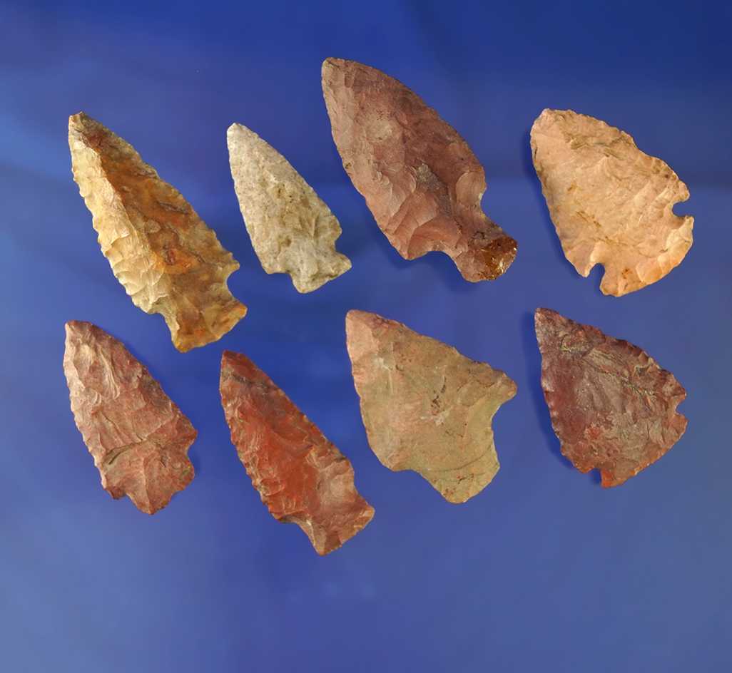 Set of eight assorted Mississippi arrowheads, largest is 2 3/16".