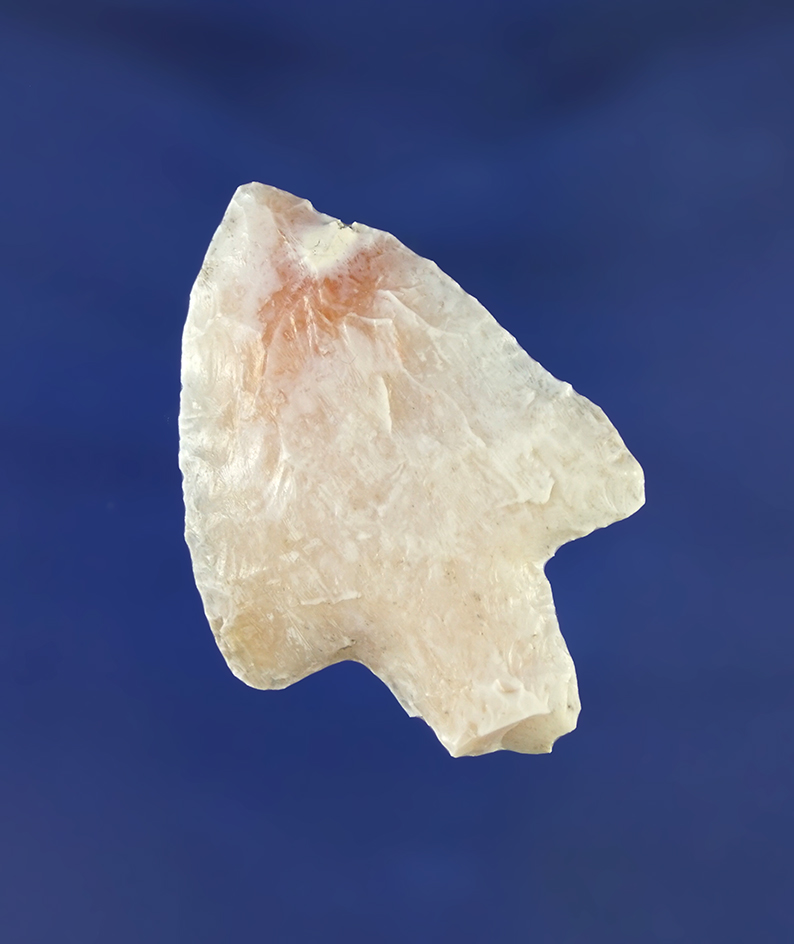 1 15/16" Newnan point made from white in pink heat-treated Agatized coral found in Florida.
