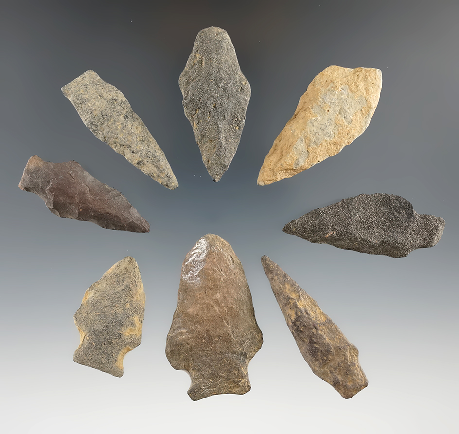 Set of eight assorted Argillite points found in Cumberland Co., New Jersey. Largest is 2". Ex.  Broo