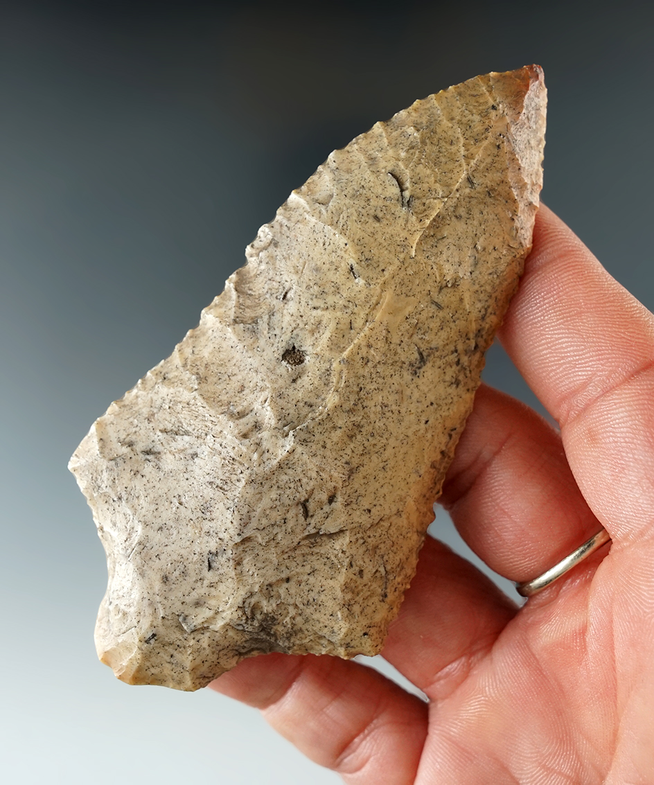 3 3/4" Cotton Bridge Knife with nice edge serrations found in Duval Co., Florida. Ex. Kevin Dowdy.