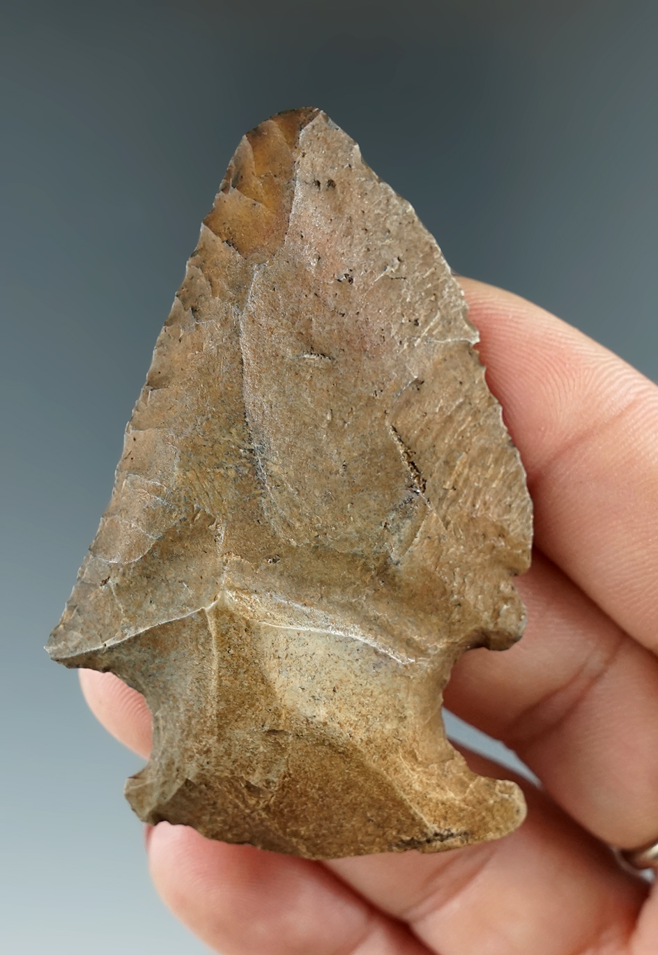 Classic style 2 1/2" Edgefield Scraper found in Florida.