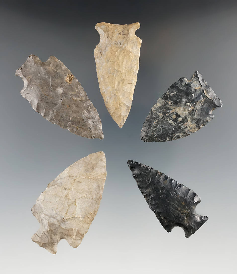 Set of five assorted nicely made points found in New York. Largest is 2 1/2".