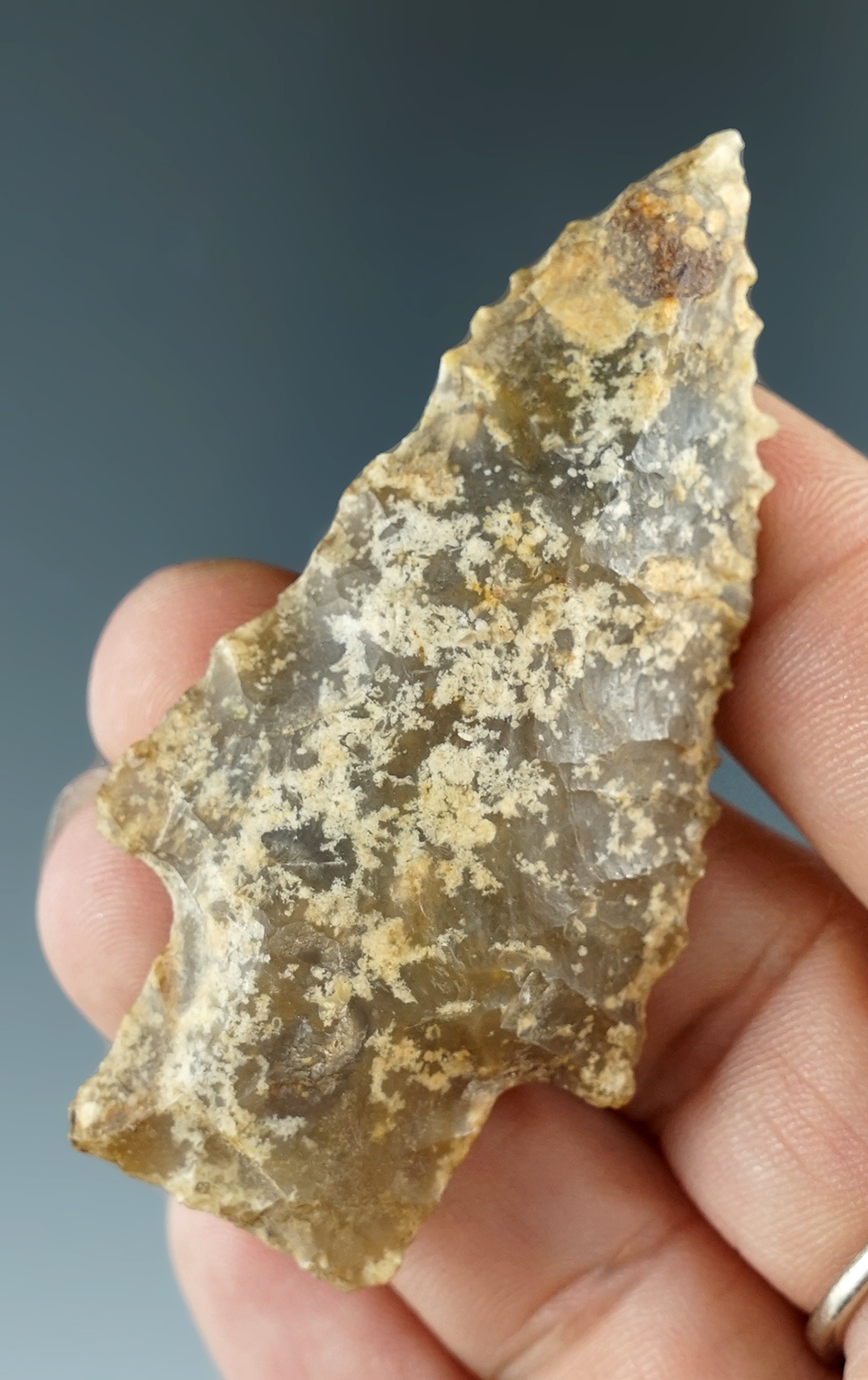 2 5/8" Kirk Serrated made from attractive material found in Hernando Co., Florida.