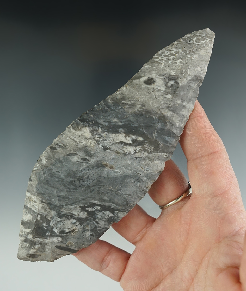 Large 5 5/8" well flaked Flint Blade - beautiful multi-color gray and black Flint - Missouri.