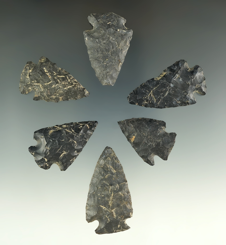 Set of six assorted Coshocton points, largest is 1 7/8". All found  near Coldwater, Michigan.