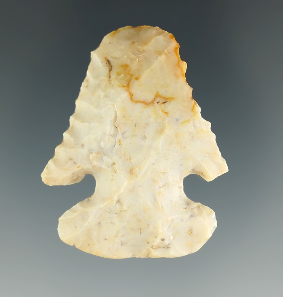 1 3/4" Archaic Thebes Bevel that is anciently salvaged into a hafted scraper.