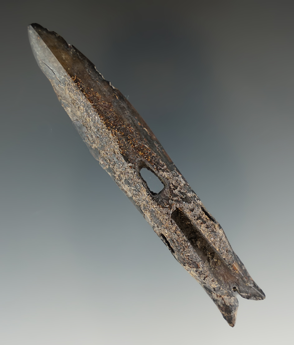 4" Ancient ivory Inuit harpoon toggle recovered in Alaska.