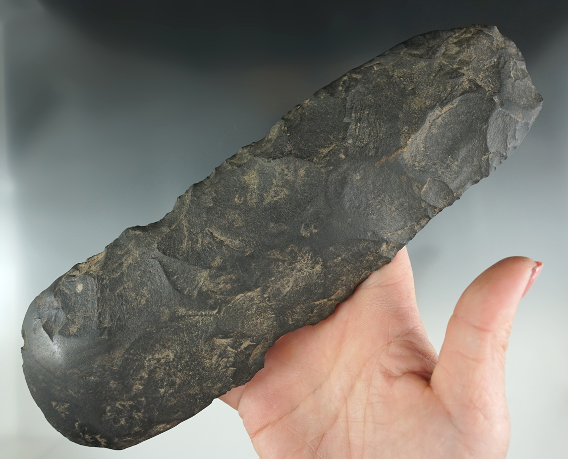 Very large 8 13/16" Hoe with heavy use polish to the bit area. Found in Lenawee Co., Michigan.