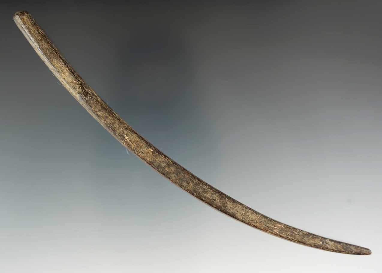 6 3/8" heavily patinated Inuit bone net needle recovered in Alaska.