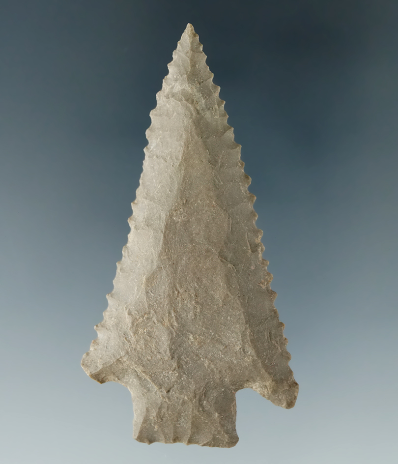 Excellent serrations on this 2 7/16" Stemmed Archaic point found in Tennessee.