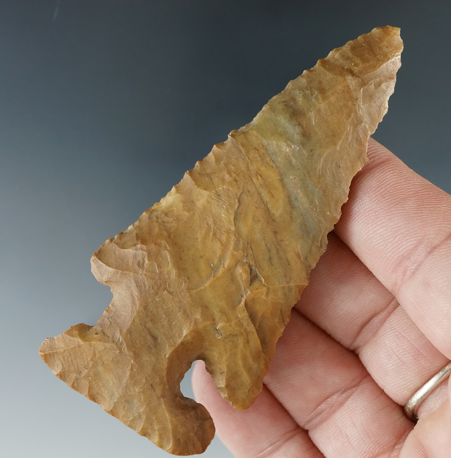 3 1/4" heavily patinated Thebes E-notch Bevel with ancient damage to 1 basal corner - Tennessee.