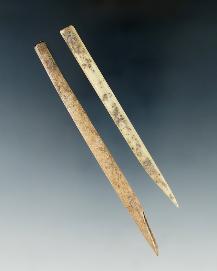 Pair of bone "bloodletters" found in Tennessee, largest is 4 1/8".