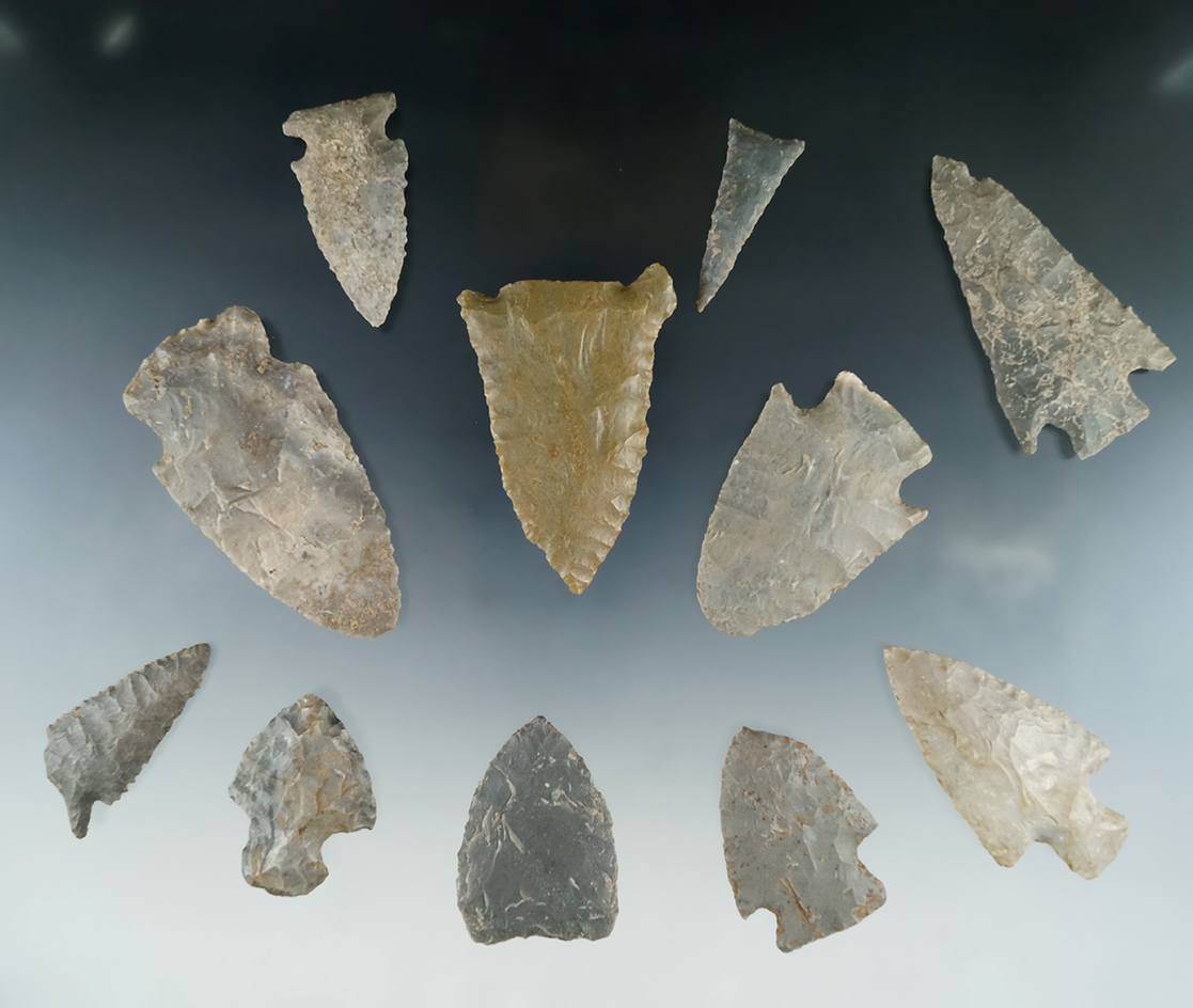 Set of 11 assorted Tennessee points and knives, largest is 2 11/16".