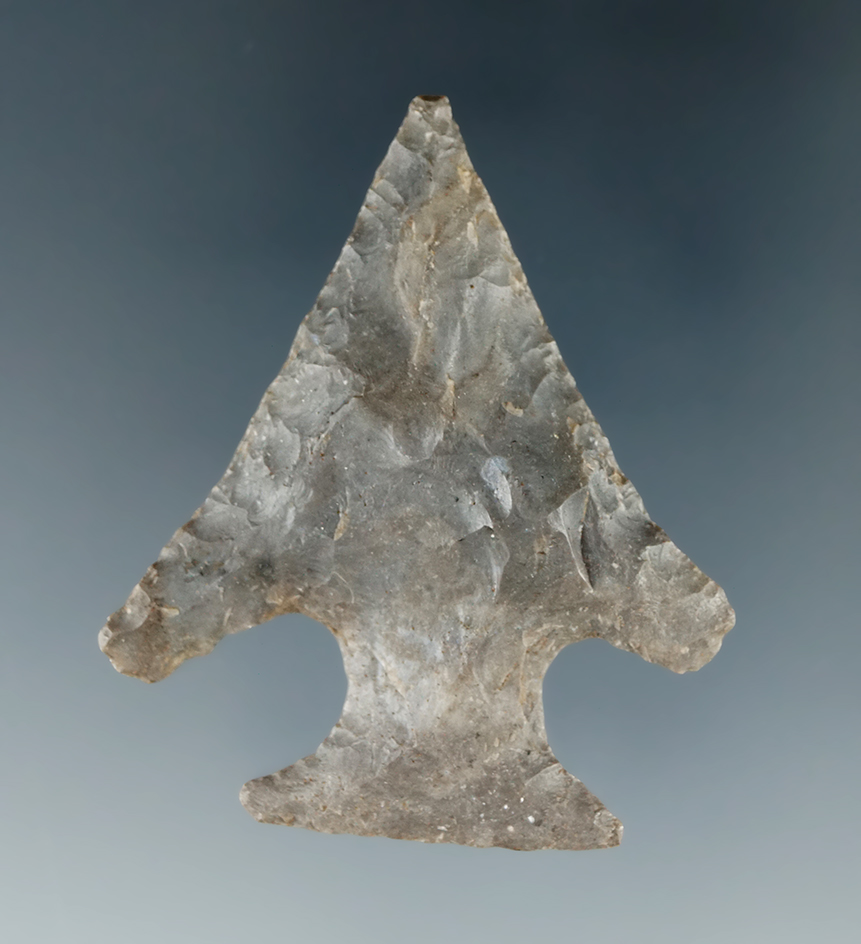 1 7/8" Motley found in Tennessee.