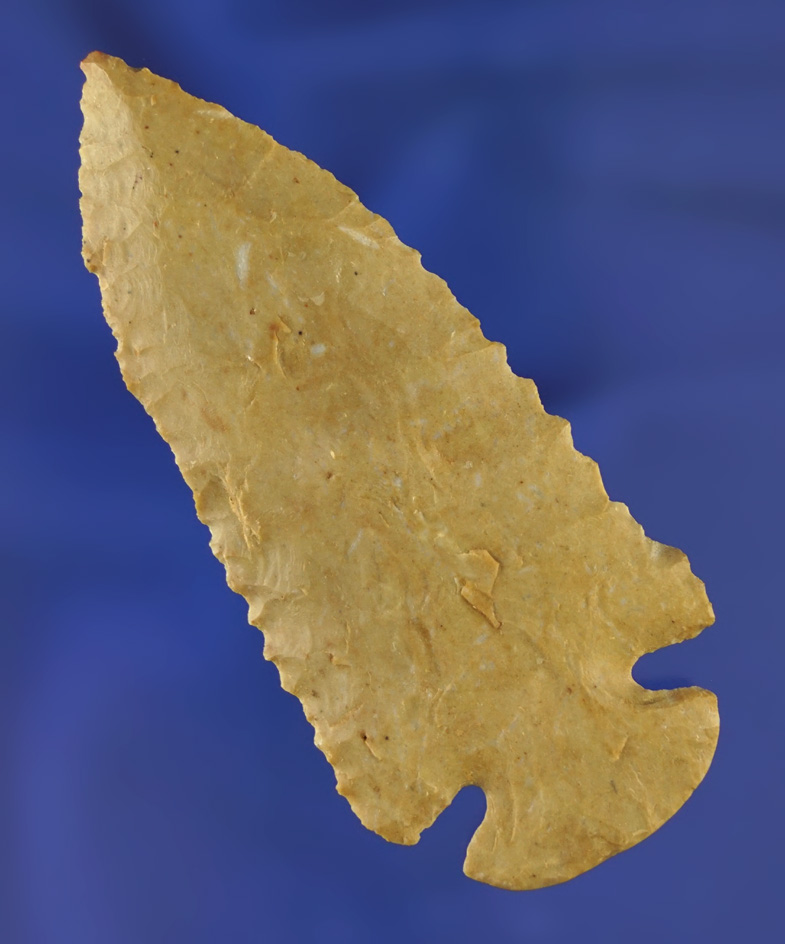 3 1/8" Dovetail - Humphreys Co.,  TN. near the Duck River. Fort Payne chert. Davis G-8 COA.