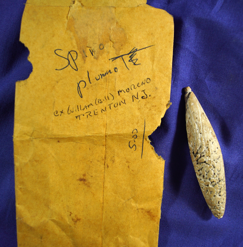 Rare! 3 1/4" Shell Plummet with Spiro Mound written in old ink on the side.
