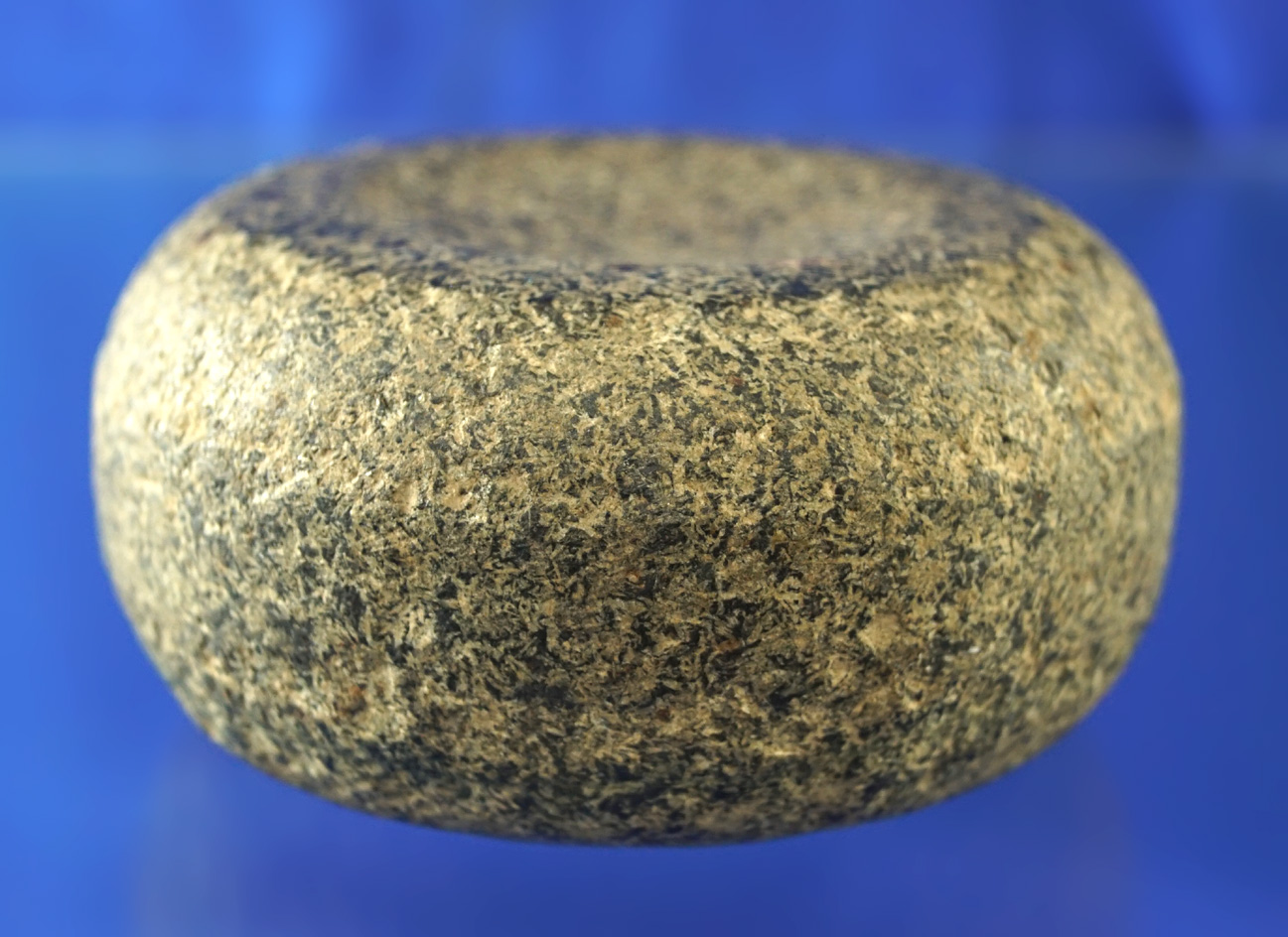 3" nicely polished double cupped Discoidal found in Ohio. Ex. Jim Hovan collection. Bennett COA.