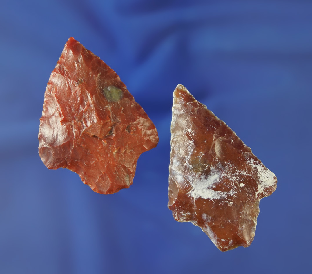 Pair of Marion points, largest is 2 5/16". Found in the Pasco/Pinellas Co.,  Florida area. Pictured