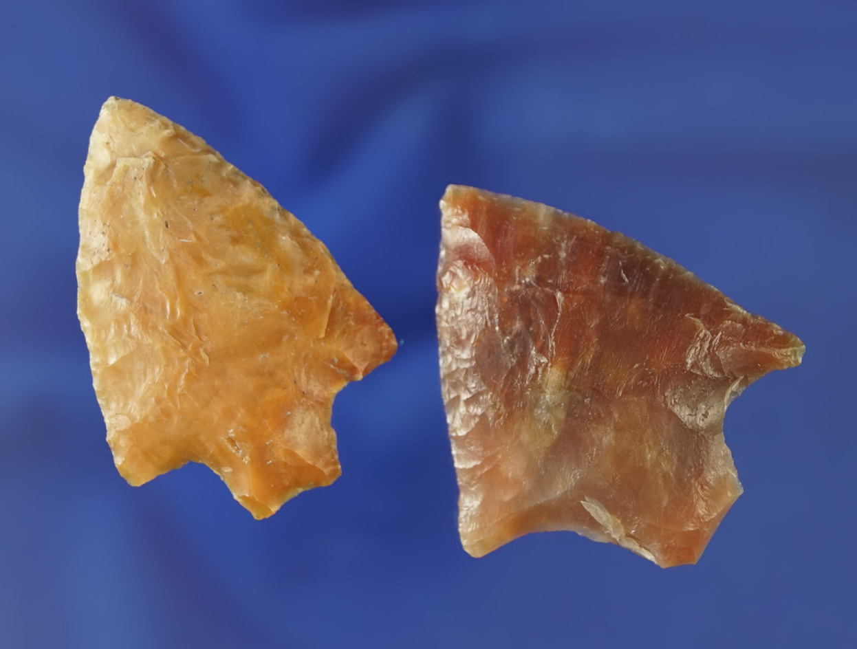 Pair of Florida arrowheads- high-quality material, largest is 1 13/16".   Pasco/Pinellas Co.,  FL.