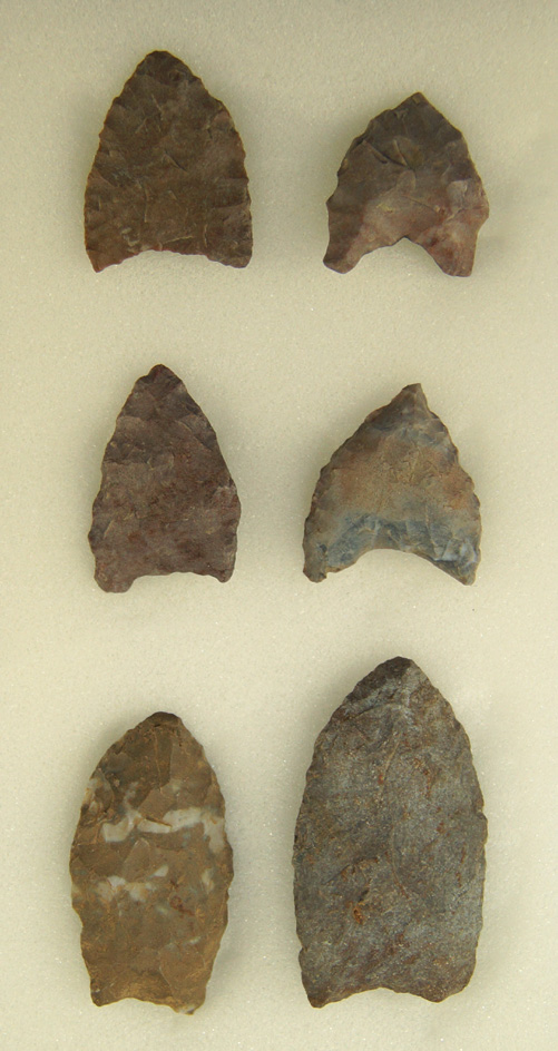 Set of 6 Paleo Dart Points found in Michigan.