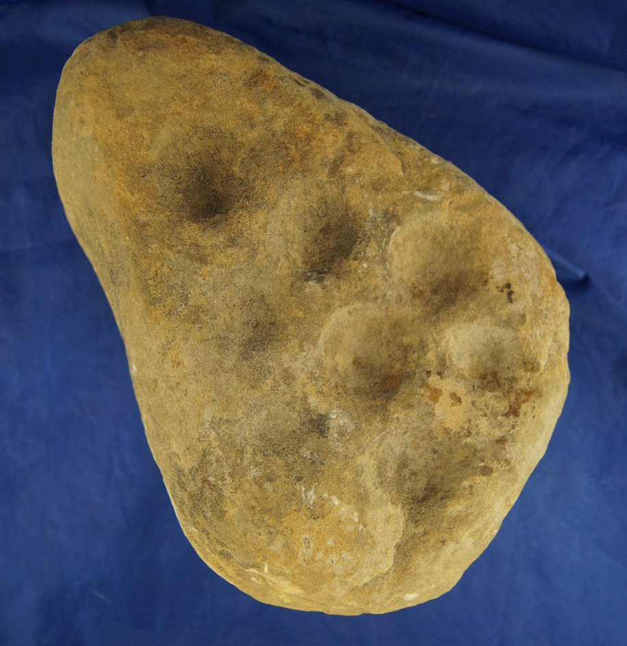 Large and heavy 9" Long Sandstone Cupstone with 8 Divots.