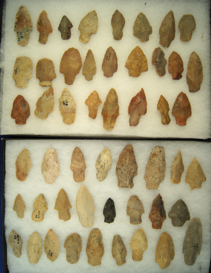 Group of 50 Assorted Arrowheads found in Greenup Co., Kentucky. Ex. Claxton. Largest is 2 1/2".
