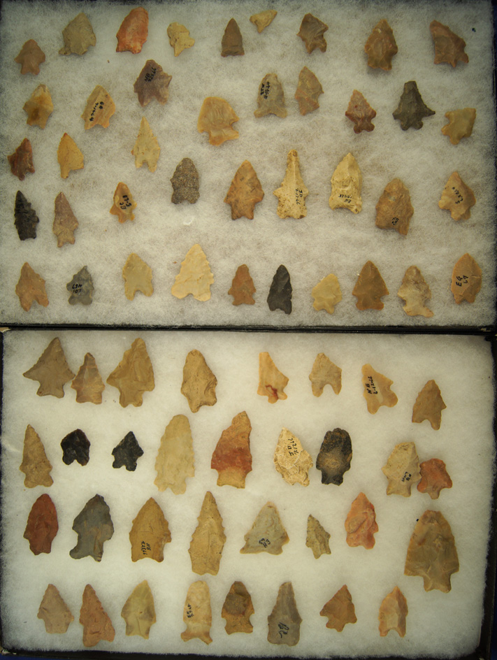 Large Group of Assorted Arrowheads, including many Bifurcates, found in Greenup Co., Kentucky.