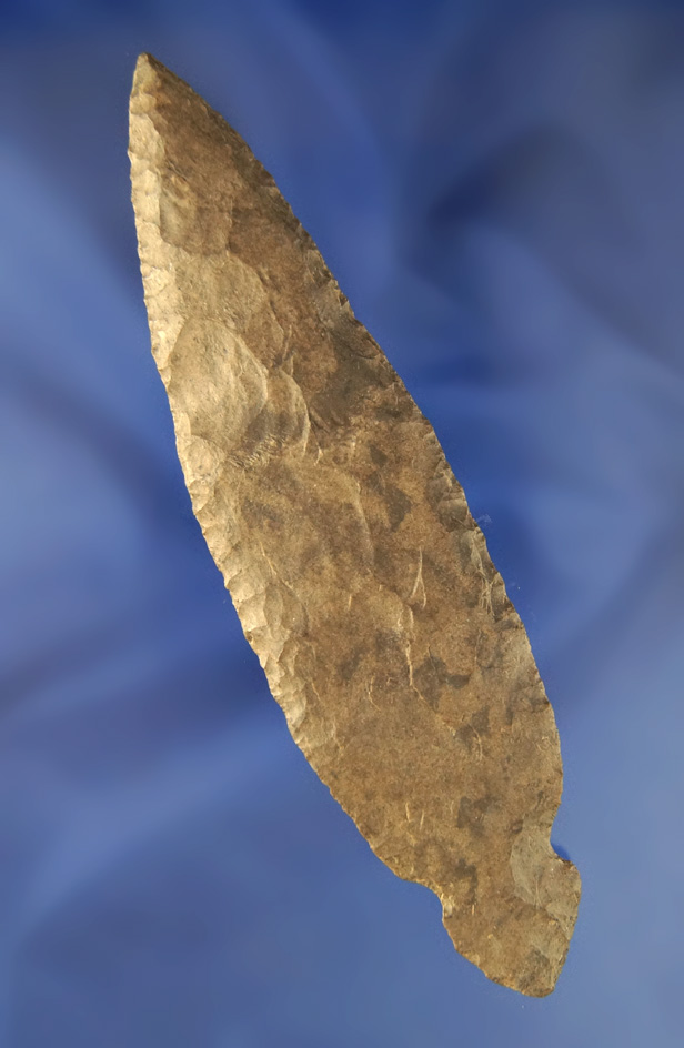 5" Turkeytail made from Dover Flint found in Humphreys Co.,  Tennessee. Comes with a Bennett COA.