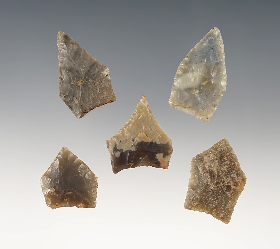 Set of 5 Jacks Reef Triangles found in the Kentucky/Tennessee area. The largest is 1 1/8".