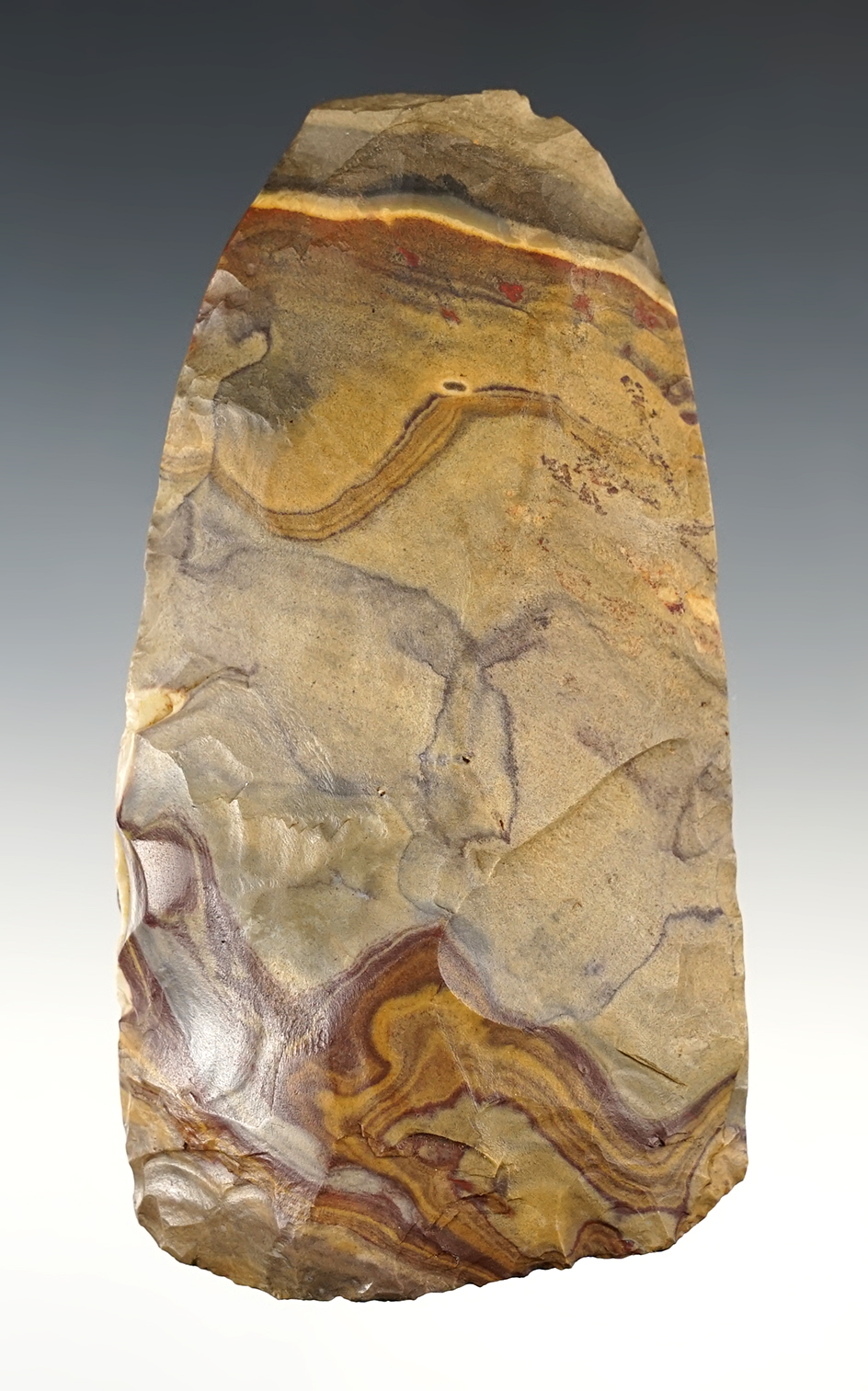 Stunning color on this 4 7/8" flint Adze found in Union Co., Illinois.