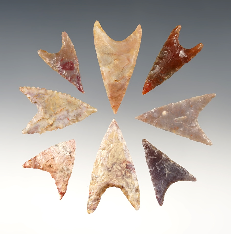 Set of 8 nice African Neolithic points. The largest is 1 11/16".