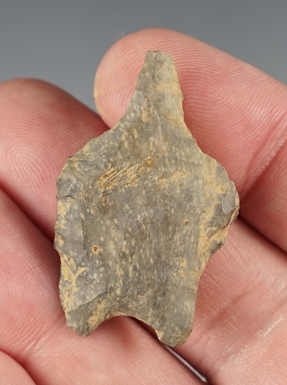 1 9/16" Paleo Drill found in Stark Co., Ohio. 