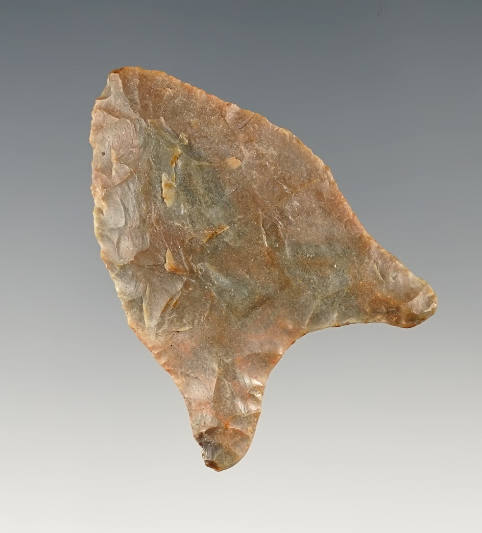 Classic style 1 3/4" Paleo quad with nicely ground-based - Kentucky.