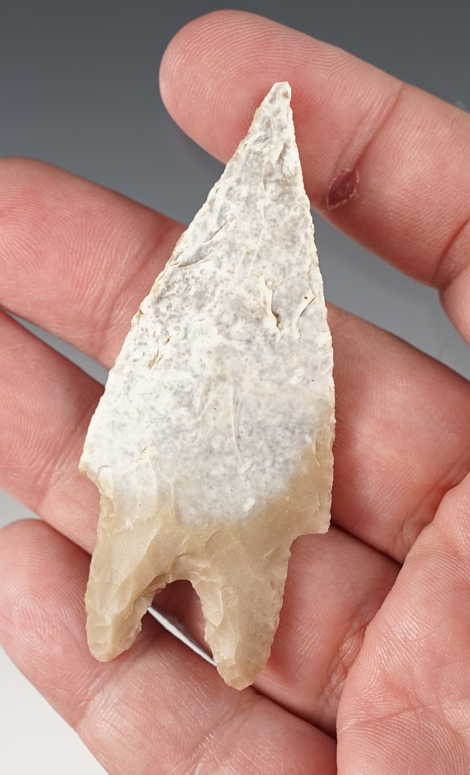 Well made 2 7/8" Pedernales found in Central Texas.