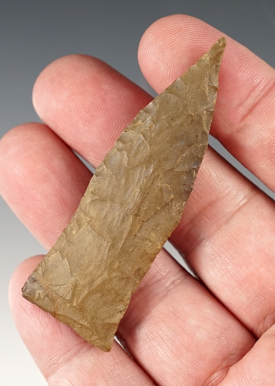 2 3/4" Kentucky Copena in excellent condition.