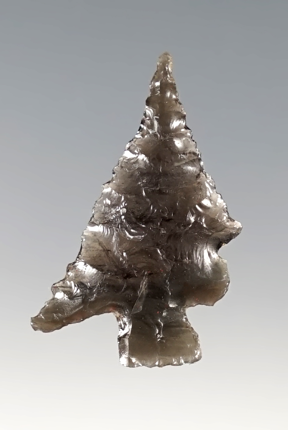 Ex. Museum! Rare 1 1/8" Double Cornernotch Obsidian point that is nicely translucent. Found in Oregon. 