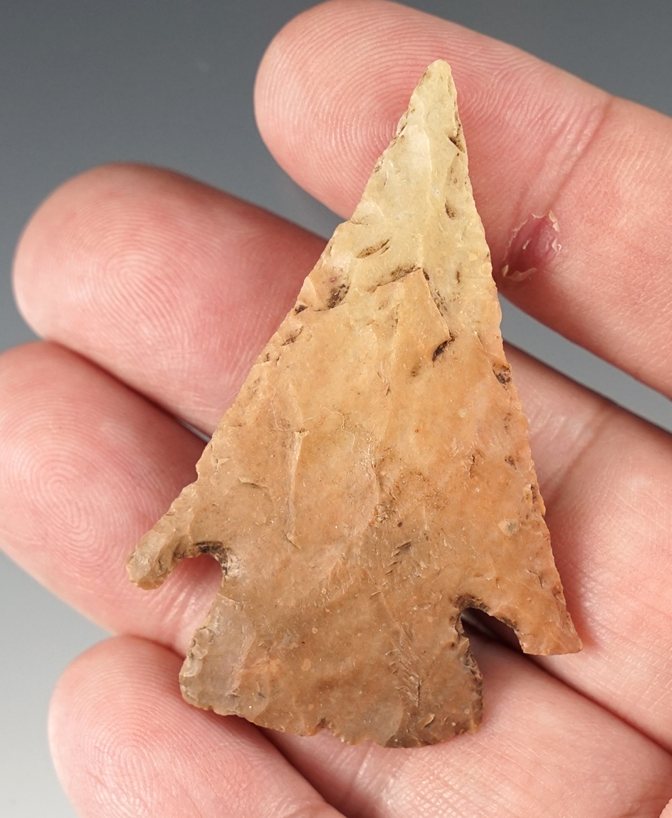 Ex. Museum! Colorful 2 3/16" Texas Cornernotch that is well patinated. Ex. Ferrell collection.