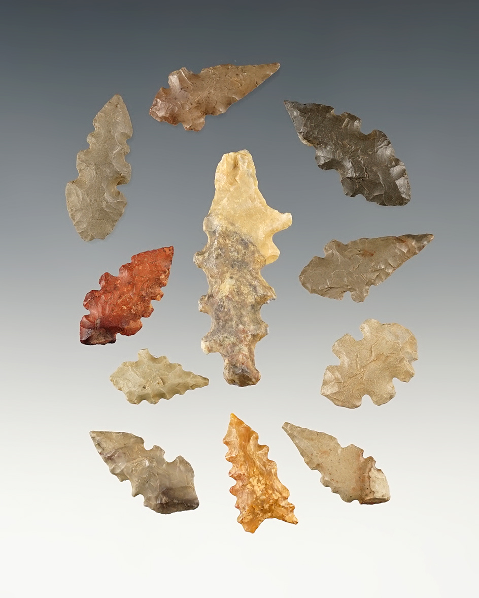 Set of 12 nice African Neolithic points. The largest is 1 9/16".