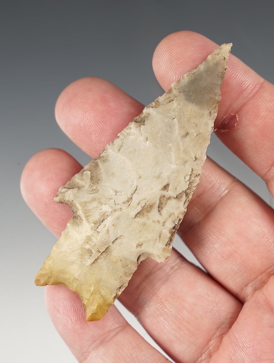 Ex. Museum! Fine 3 3/4" Texas Pedernales with excellent flaking. Ex. Ferrell collection.