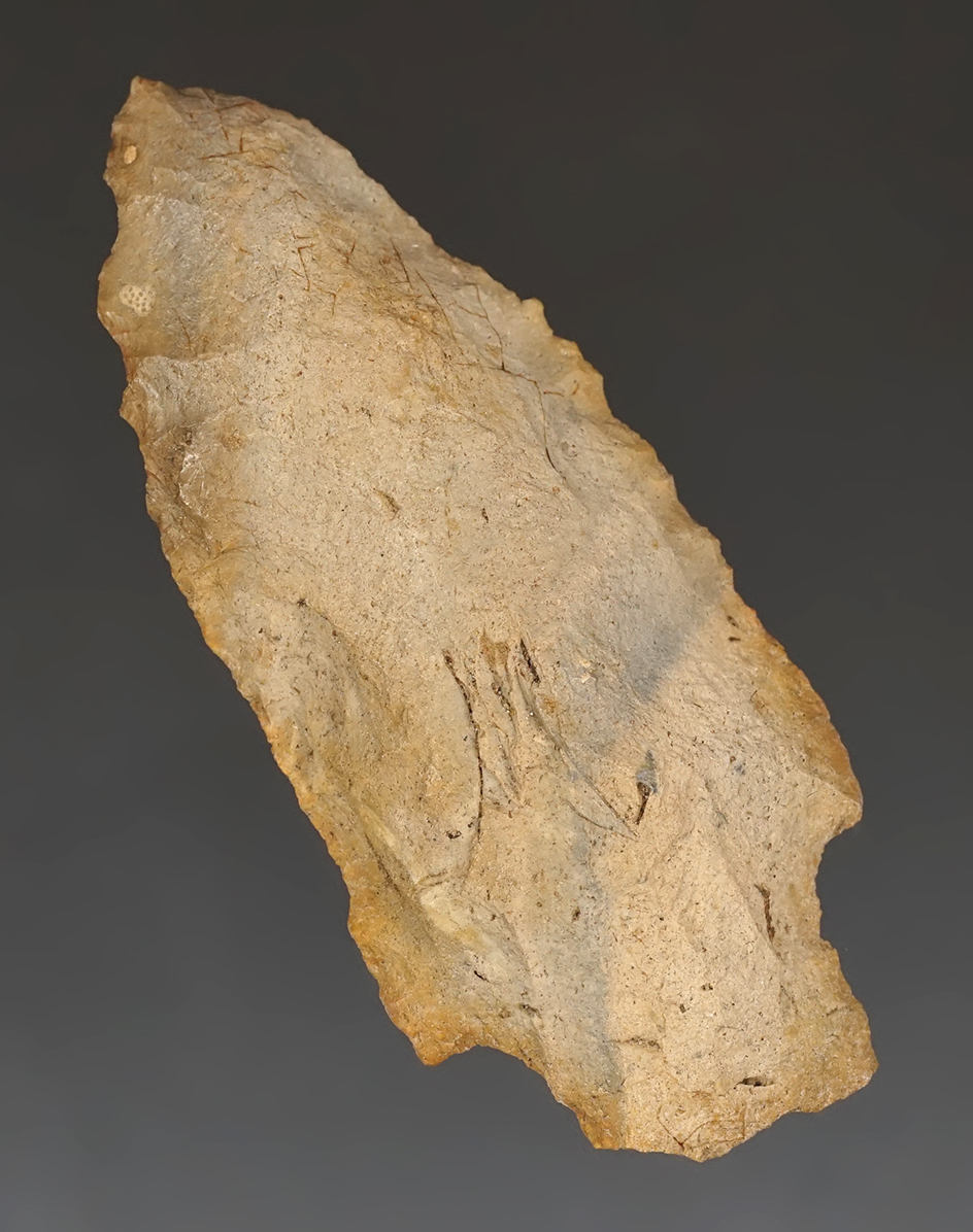 3 3/16" thick and heavy stemmed knife found in Florida.