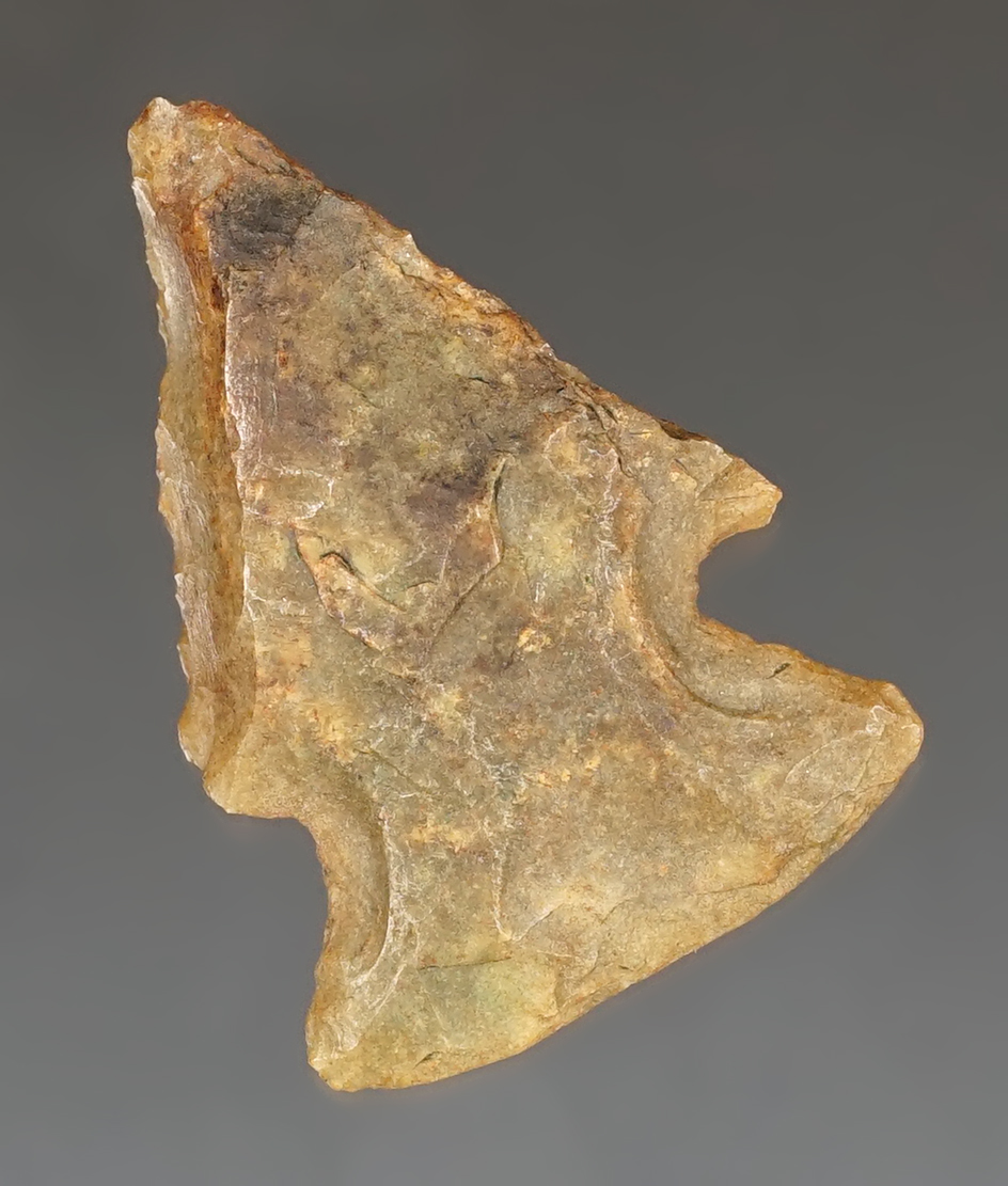 1 7/16" exhausted archaic bevel found in Florida that was well used in ancient times.