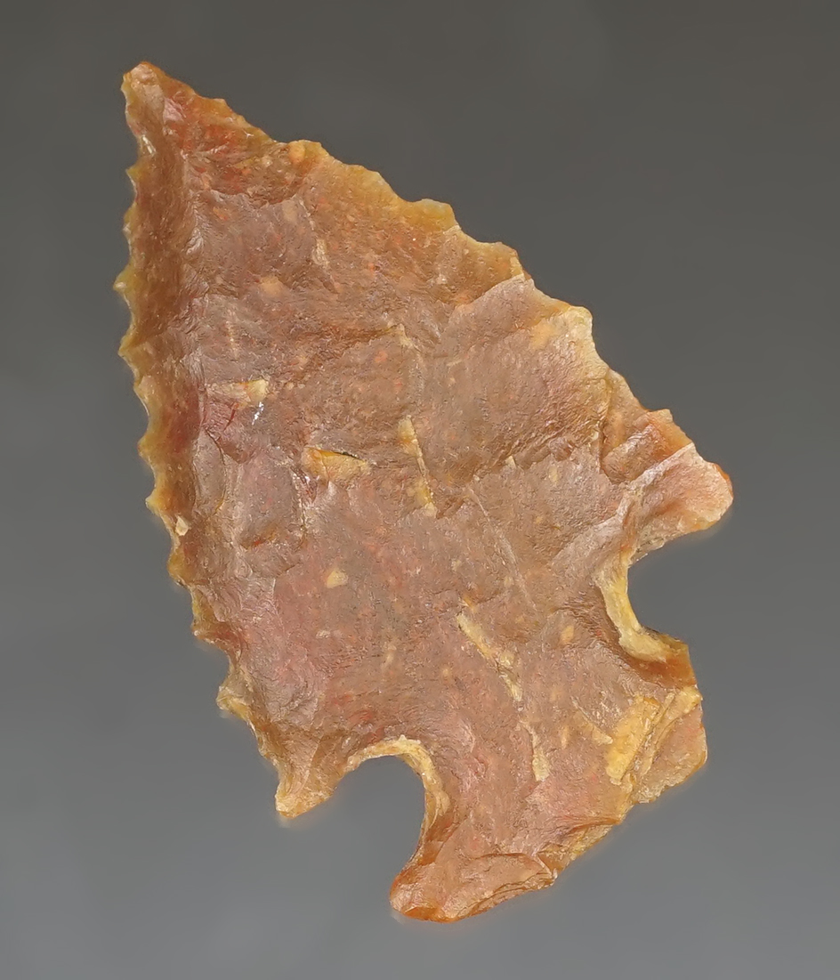 1 13/16" nicely serrated Bolen Bevel made from quality material found in Florida.